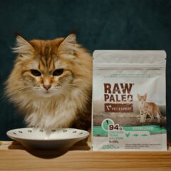 Alimento seco RAW PALEO